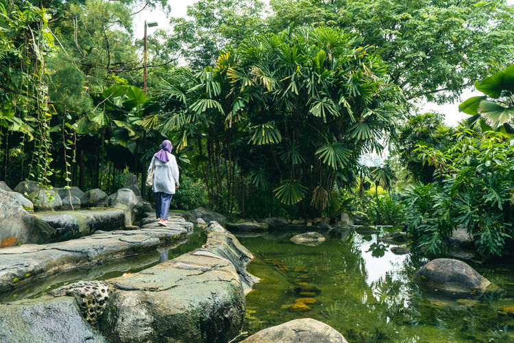 Kuala Lumpur'un kalbindeki yaşam parkı: Perdana Botanik Bahçeleri