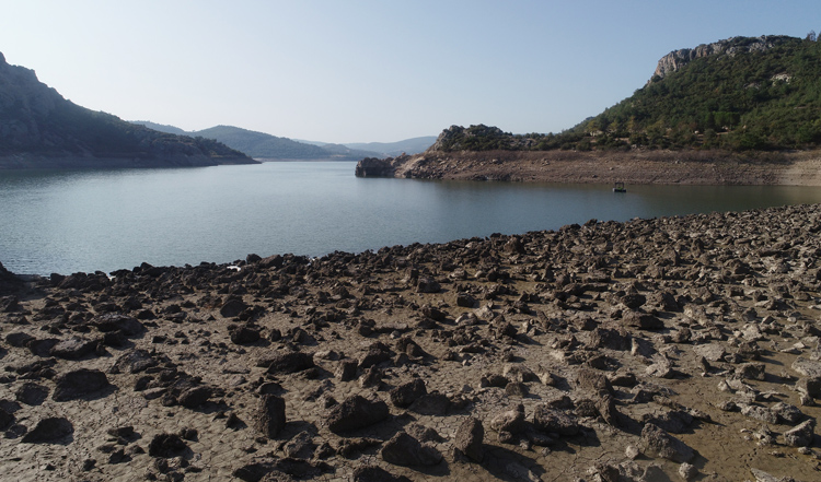 Suyu azalan barajdan 'midye tarlası' çıktı - Resim : 1